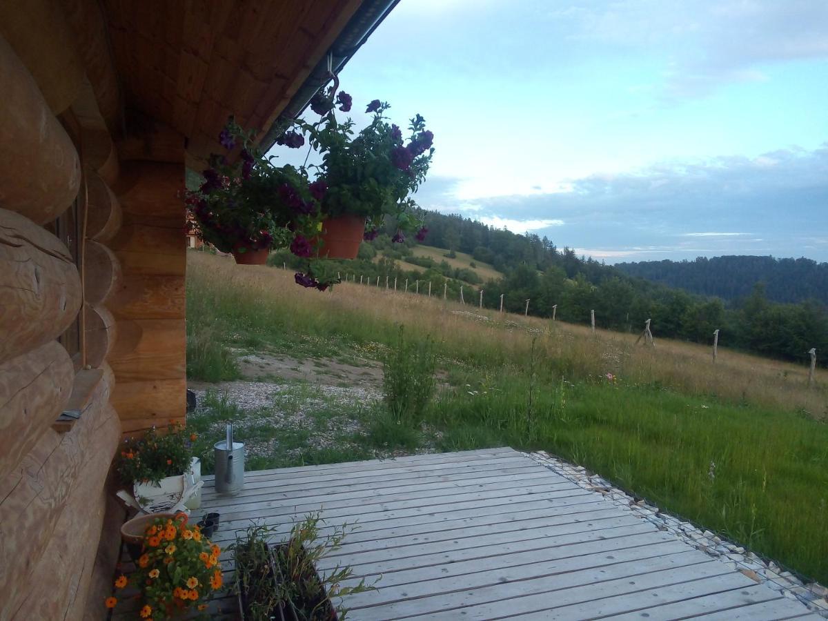 Domek W Gorach Sowich Jugów 外观 照片